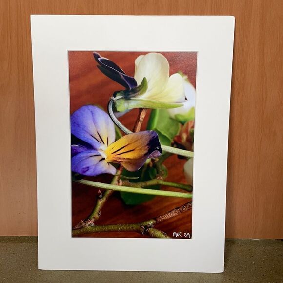 Bright & Beautiful Orchid Photograph Matted Print MIK 2009 - Picture 4 of 12